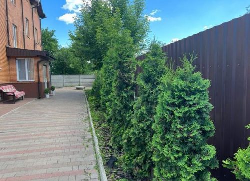 Будинок пристарілих на Нивках